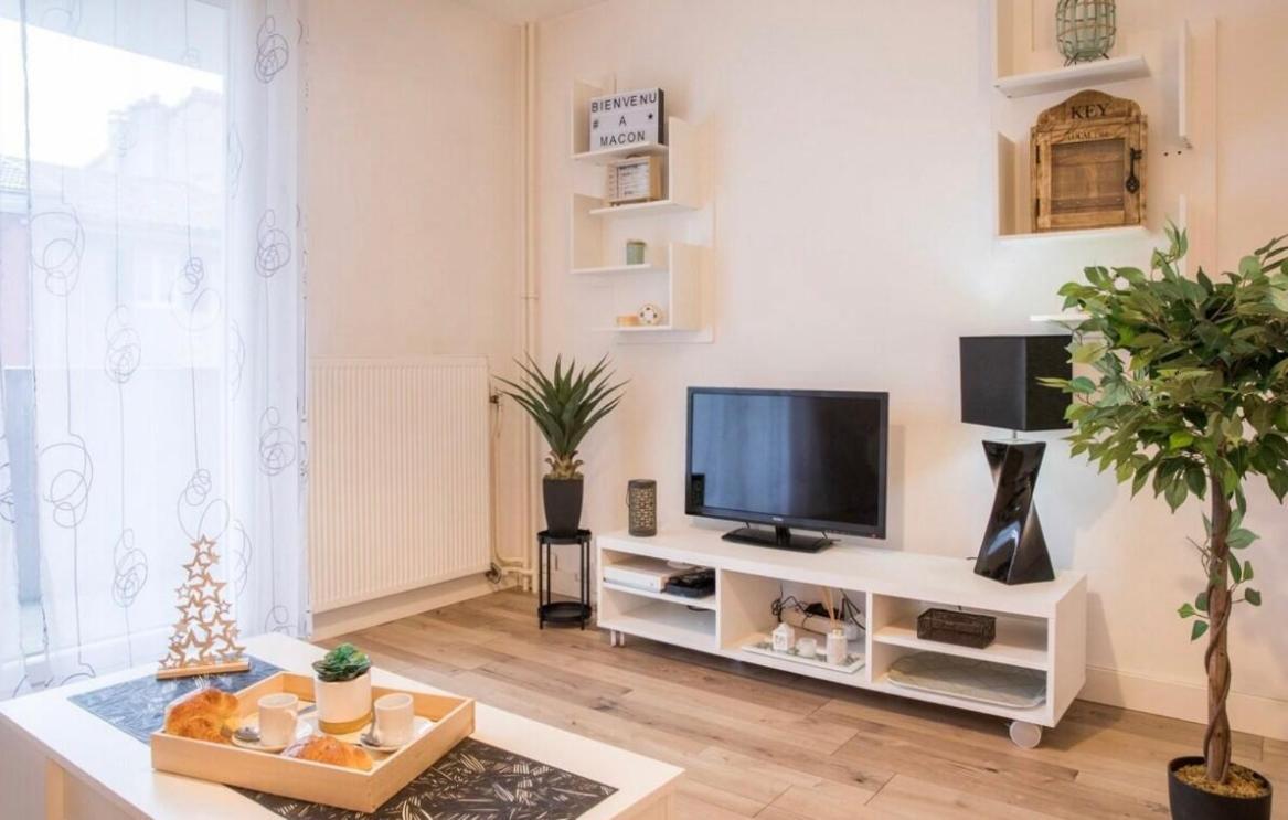 Charmant Appartement T1 Mâcon Exterior foto